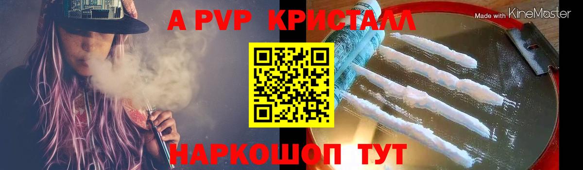 Альфа ПВП СК КРИС Волхов