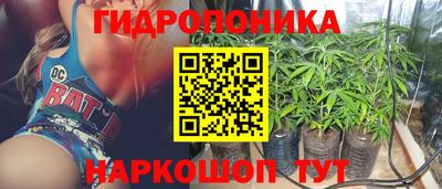 ECSTASY Заводоуковск